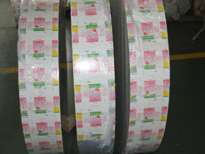 Aseptic Laminated Paper Packaging