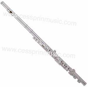 Cessprin Music / Nickel Flute / Flute Wholesales/ Flute Supplier/ (ASFL-046)